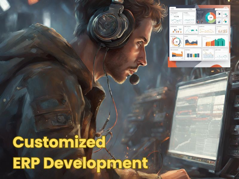 Customized ERP Development: When a Custom System Makes Sense